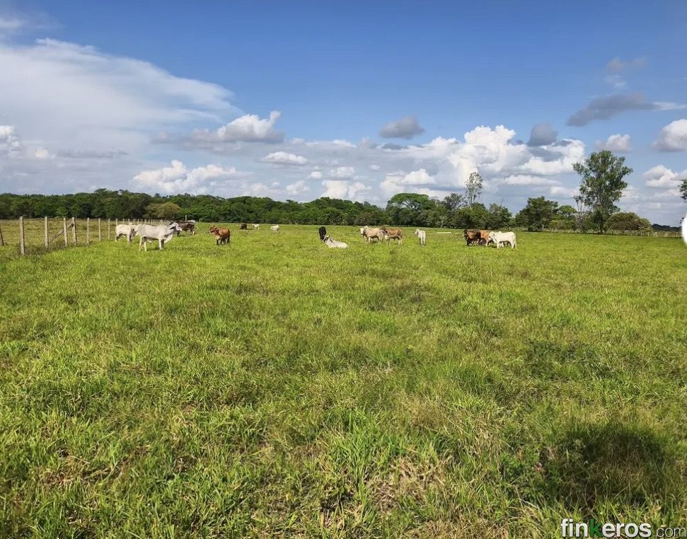 RANCHO RR - Finca en San Martin, Meta